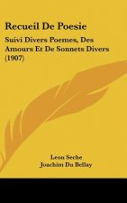 Recueil de Poesie: Suivi Divers Poemes, Des Amours Et de Sonnets Divers (1907)