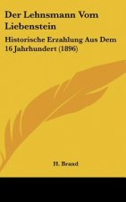 Der Lehnsmann Vom Liebenstein: Historische Erzahlung Aus Dem 16 Jahrhundert (1896)