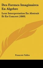 Des Formes Imaginaires En Algebre: Leur Interpretation En Abstrait Et En Concret (1869)