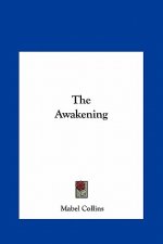 The Awakening