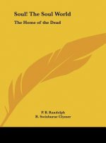 Soul! the Soul World: The Home of the Dead