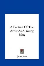 A Portrait Of The Artist As A Young Man