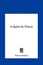 A Spirit in Prison