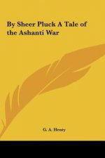By Sheer Pluck a Tale of the Ashanti War