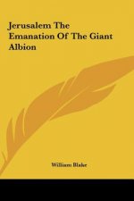 Jerusalem the Emanation of the Giant Albion