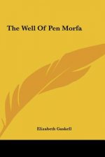 The Well of Pen Morfa