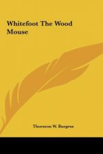 Whitefoot the Wood Mouse