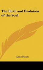 The Birth and Evolution of the Soul