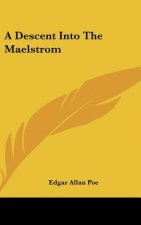 A Descent Into the Maelstrom