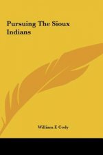 Pursuing the Sioux Indians
