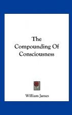 The Compounding of Consciousness