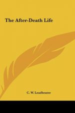 The After-Death Life