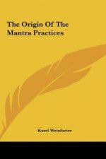 The Origin of the Mantra Practices