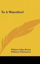To a Waterfowl