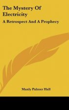 The Mystery of Electricity: A Retrospect and a Prophecy