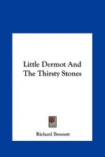 Little Dermot and the Thirsty Stones