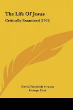 The Life of Jesus: Critically Examined (1902)
