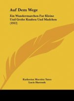 Auf Dem Wege: Ein Wundermarchen Fur Kleine Und Grobe Knaben Und Madchen (1912)