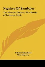 Negritos Of Zambales: The Naboloi Dialect; The Bataks of Palawan (1904)