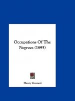 Occupations of the Negroes (1895)