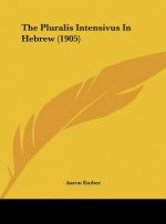 The Pluralis Intensivus in Hebrew (1905)