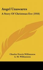 Angel Unawares: A Story of Christmas Eve (1916)