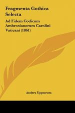 Fragmenta Gothica Selecta: Ad Fidem Codicum Ambrosianorum Carolini Vaticani (1861)