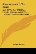 Some Account of St. Brigid: And of the See of Kildare, with Its Bishops, and of the Cathedral, Now Restored (1896)