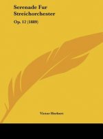 Serenade Fur Streichorchester: Op. 12 (1889)