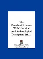 The Churches of Sussex: With Historical and Archaeological Descriptions (1872)