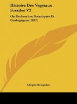 Histoire Des Vegetaux Fossiles V2: Ou Recherches Botaniques Et Geologiques (1837)