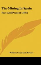 Tin-Mining in Spain: Past and Present (1897)