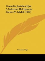 Consulta Juridica Que a Solicitud del Ignacio Torres y Adalid (1907)