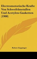 Electromotorische Krafte Von Schwefelmetallen Und Acetylen-Gasketten (1900)