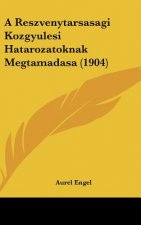 A Reszvenytarsasagi Kozgyulesi Hatarozatoknak Megtamadasa (1904)