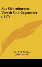 Aus Siebenburgens Vorzeit Und Gegenwart (1857)
