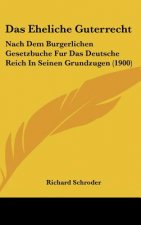 Das Eheliche Guterrecht: Nach Dem Burgerlichen Gesetzbuche Fur Das Deutsche Reich in Seinen Grundzugen (1900)