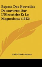 Expose Des Nouvelles Decouvertes Sur L'Electricite Et Le Magnetisme (1822)