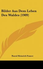 Bilder Aus Dem Leben Des Waldes (1909)