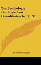 Zur Psychologie Der Logischen Grundthatsachen (1897)
