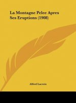 La Montagne Pelee Apres Ses Eruptions (1908)