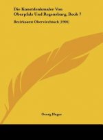 Die Kunstdenkmaler Von Oberpfalz Und Regensburg, Book 7: Bezirksamt Oberviechtach (1906)
