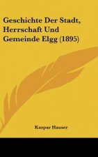 Geschichte Der Stadt, Herrschaft Und Gemeinde Elgg (1895)