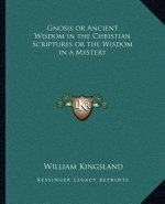 Gnosis or Ancient Wisdom in the Christian Scriptures or the Wisdom in a Mystery