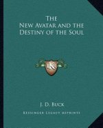 The New Avatar and the Destiny of the Soul