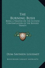 The Burning Bush: Being a Treatise on the Ecstatic Contemplation of the Blessed Trinity