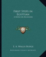 First Steps in Egyptian: A Book for Beginners