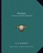 Karma: A Novel of Reincarnation