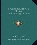 Splendour in the Night: Recording a Glimpse of Reality by a Pilgrim