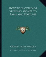 How to Succeed or Stepping Stones to Fame and Fortune